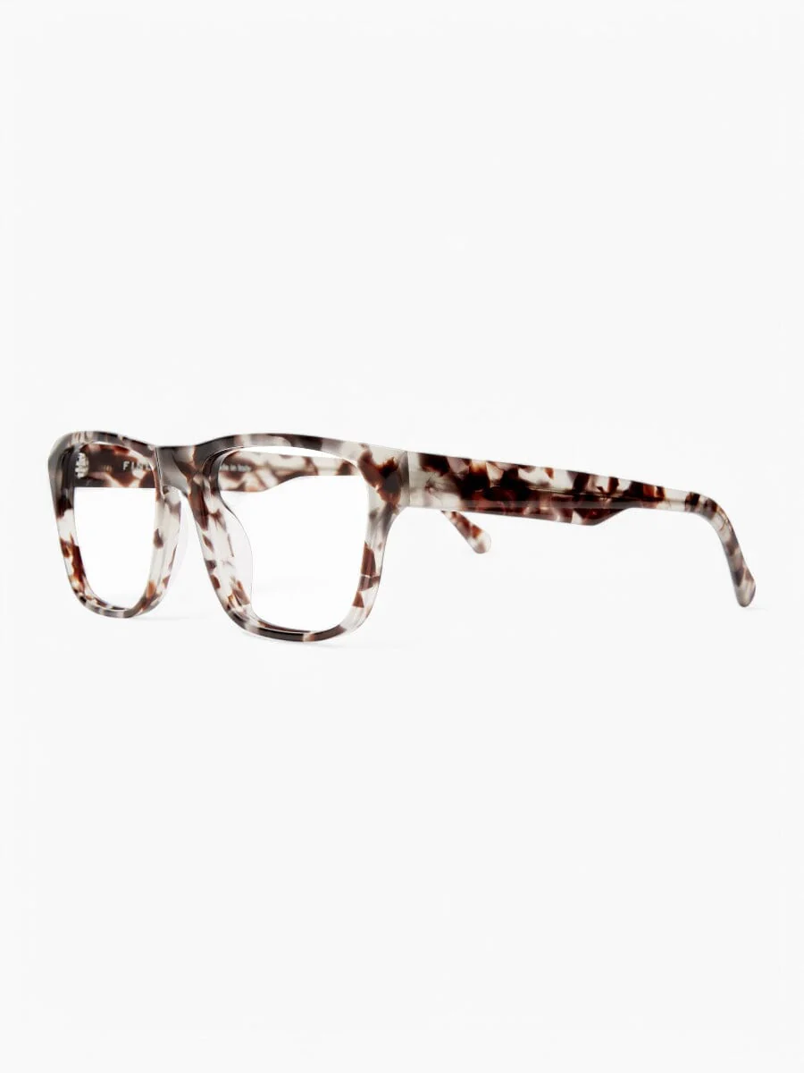 Winston - Image 2